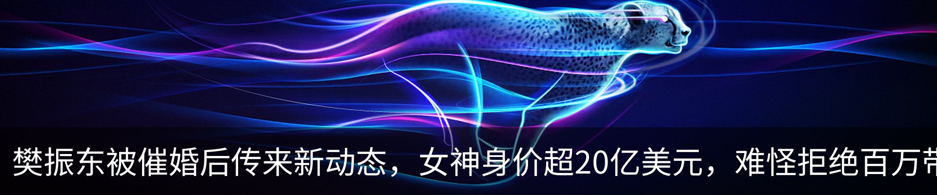 新闻动态